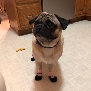 Meet your Posher, Laura